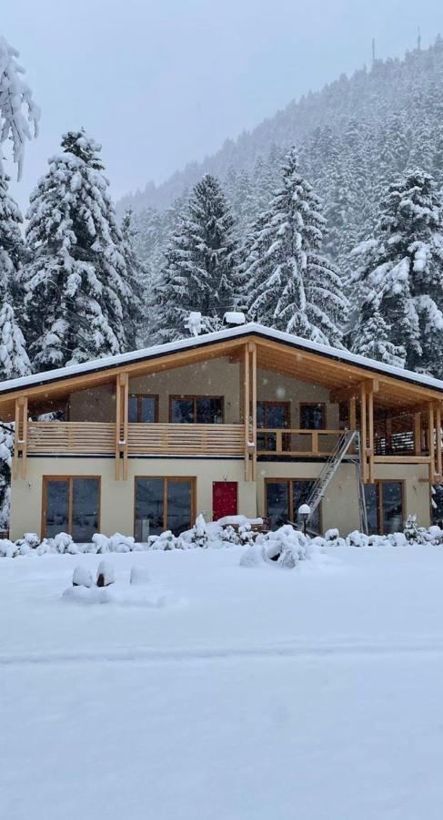 فيلا Chalet Relax Molveno E Andalo Dolomiti المظهر الخارجي الصورة
