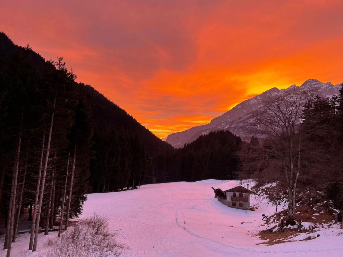 فيلا Chalet Relax Molveno E Andalo Dolomiti المظهر الخارجي الصورة